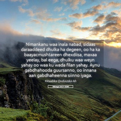 Picture 05 - Bilowgii 34:21 SOM - Nimankanu waa inala nabad, sidaas daraaddeed - Bible Verse Picture