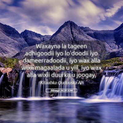 Picture 05 - Bilowgii 34:28 SOM - Waxayna la tageen adhigoodii iyo lo'doodii iyo - Bible Verse Picture