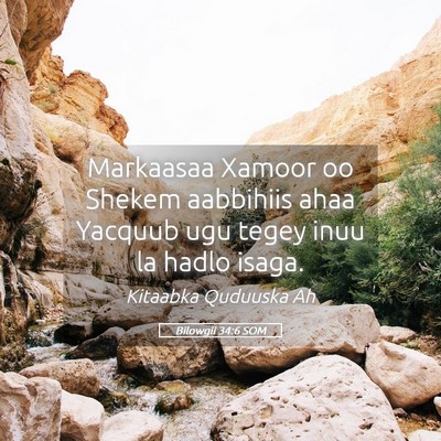 Picture 05 - Bilowgii 34:6 SOM - Markaasaa Xamoor oo Shekem aabbihiis ahaa Yacquub - Bible Verse Picture