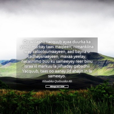 Picture 05 - Bilowgii 34:7 SOM - Oo wiilashii Yacquub ayaa duurka ka yimid markay - Bible Verse Picture