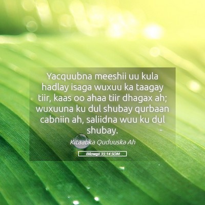 Picture 05 - Bilowgii 35:14 SOM - Yacquubna meeshii uu kula hadlay isaga wuxuu ka - Bible Verse Picture