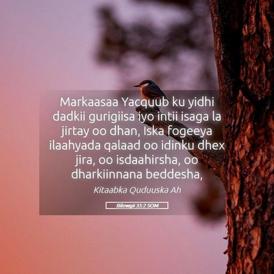 Picture 05 - Bilowgii 35:2 SOM - Markaasaa Yacquub ku yidhi dadkii gurigiisa iyo - Bible Verse Picture