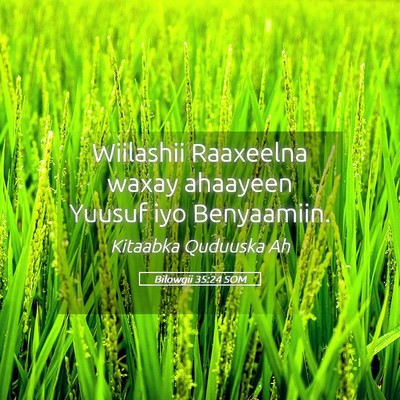 Picture 05 - Bilowgii 35:24 SOM - Wiilashii Raaxeelna waxay ahaayeen Yuusuf iyo - Bible Verse Picture