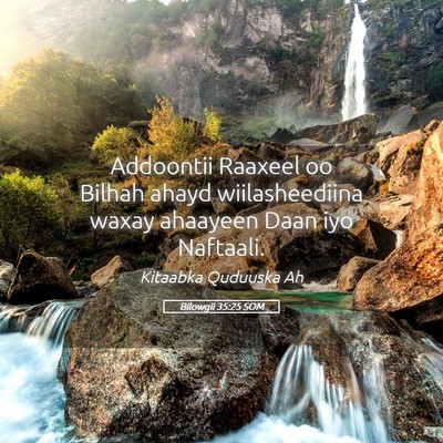 Picture 05 - Bilowgii 35:25 SOM - Addoontii Raaxeel oo Bilhah ahayd wiilasheediina - Bible Verse Picture