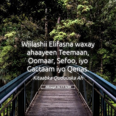 Picture 05 - Bilowgii 36:11 SOM - Wiilashii Elifasna waxay ahaayeen Teemaan, - Bible Verse Picture