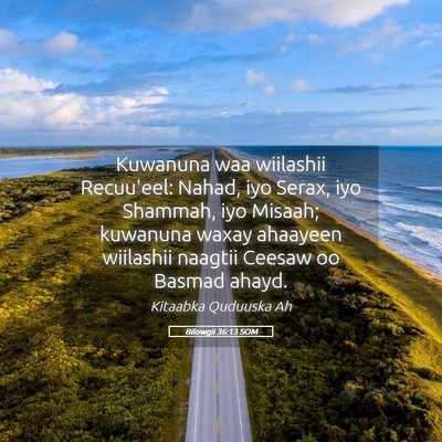 Picture 05 - Bilowgii 36:13 SOM - Kuwanuna waa wiilashii Recuu'eel: Nahad, iyo - Bible Verse Picture