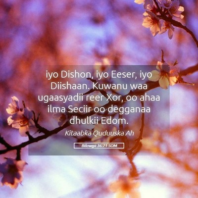 Picture 05 - Bilowgii 36:21 SOM - iyo Dishon, iyo Eeser, iyo Diishaan. Kuwanu waa - Bible Verse Picture