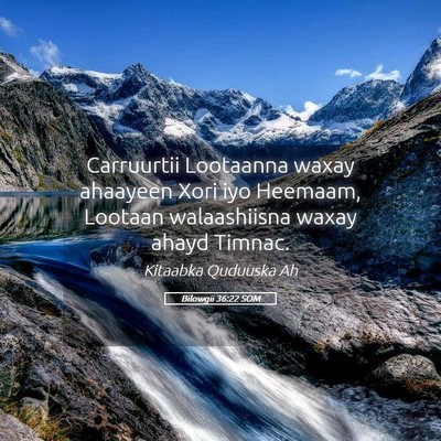 Picture 05 - Bilowgii 36:22 SOM - Carruurtii Lootaanna waxay ahaayeen Xori iyo - Bible Verse Picture