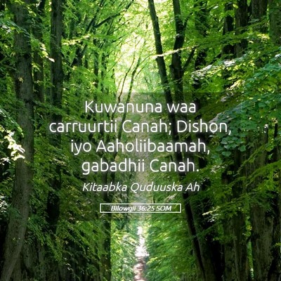 Picture 05 - Bilowgii 36:25 SOM - Kuwanuna waa carruurtii Canah; Dishon, iyo - Bible Verse Picture