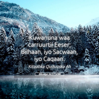 Picture 05 - Bilowgii 36:27 SOM - Kuwanuna waa carruurtii Eeser; Bilhaan, iyo - Bible Verse Picture