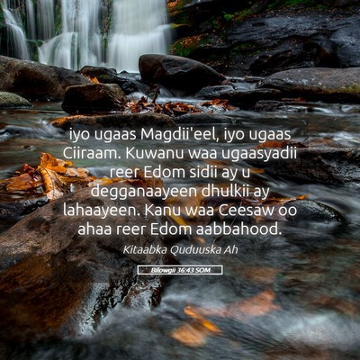 Picture 05 - Bilowgii 36:43 SOM - iyo ugaas Magdii'eel, iyo ugaas Ciiraam. Kuwanu - Bible Verse Picture