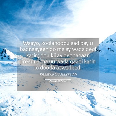 Picture 05 - Bilowgii 36:7 SOM - Waayo, xoolahoodu aad bay u badnaayeen oo ma ay - Bible Verse Picture