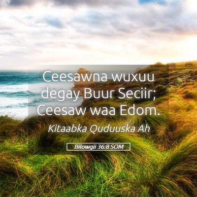 Picture 05 - Bilowgii 36:8 SOM - Ceesawna wuxuu degay Buur Seciir; Ceesaw waa - Bible Verse Picture