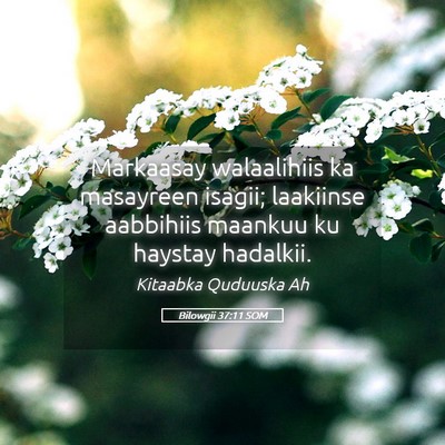 Picture 05 - Bilowgii 37:11 SOM - Markaasay walaalihiis ka masayreen isagii; - Bible Verse Picture