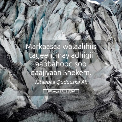Picture 05 - Bilowgii 37:12 SOM - Markaasaa walaalihiis tageen, inay adhigii - Bible Verse Picture