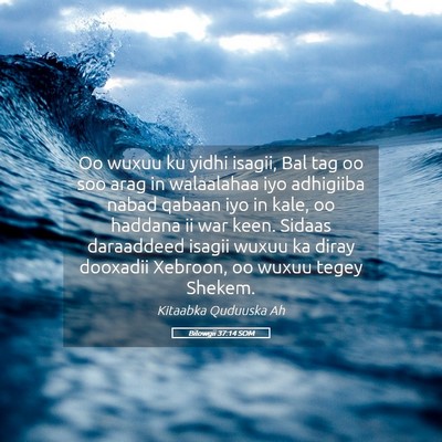 Picture 05 - Bilowgii 37:14 SOM - Oo wuxuu ku yidhi isagii, Bal tag oo soo arag in - Bible Verse Picture