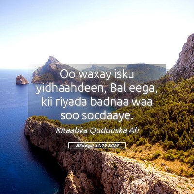 Picture 05 - Bilowgii 37:19 SOM - Oo waxay isku yidhaahdeen, Bal eega, kii riyada - Bible Verse Picture