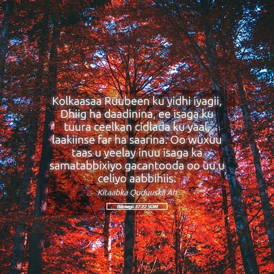 Picture 05 - Bilowgii 37:22 SOM - Kolkaasaa Ruubeen ku yidhi iyagii, Dhiig ha - Bible Verse Picture