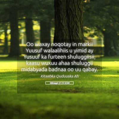 Picture 05 - Bilowgii 37:23 SOM - Oo waxay noqotay in markii Yuusuf walaalihiis u - Bible Verse Picture
