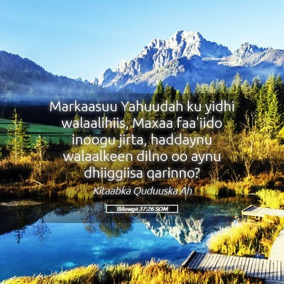 Picture 05 - Bilowgii 37:26 SOM - Markaasuu Yahuudah ku yidhi walaalihiis, Maxaa - Bible Verse Picture