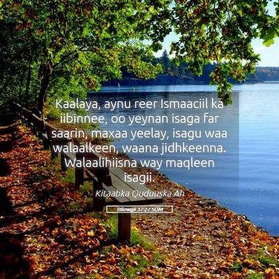 Picture 05 - Bilowgii 37:27 SOM - Kaalaya, aynu reer Ismaaciil ka iibinnee, oo - Bible Verse Picture
