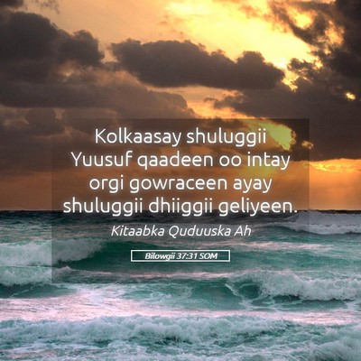 Picture 05 - Bilowgii 37:31 SOM - Kolkaasay shuluggii Yuusuf qaadeen oo intay orgi - Bible Verse Picture