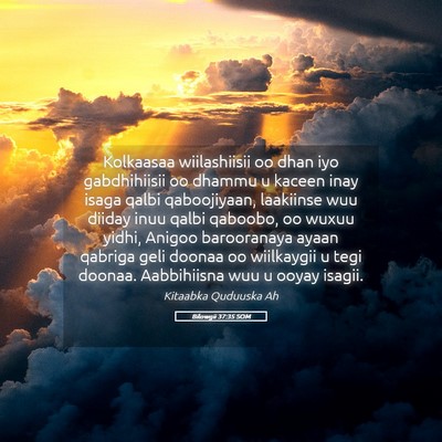 Picture 05 - Bilowgii 37:35 SOM - Kolkaasaa wiilashiisii oo dhan iyo gabdhihiisii - Bible Verse Picture