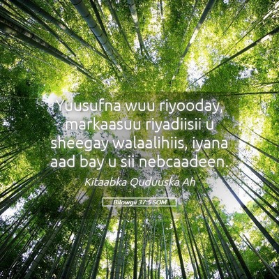 Picture 05 - Bilowgii 37:5 SOM - Yuusufna wuu riyooday, markaasuu riyadiisii u - Bible Verse Picture