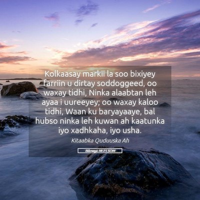 Picture 05 - Bilowgii 38:25 SOM - Kolkaasay markii la soo bixiyey farriin u dirtay - Bible Verse Picture