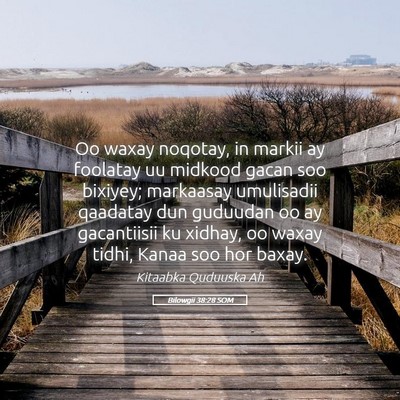 Picture 05 - Bilowgii 38:28 SOM - Oo waxay noqotay, in markii ay foolatay uu - Bible Verse Picture