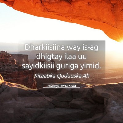 Picture 05 - Bilowgii 39:16 SOM - Dharkiisiina way is-ag dhigtay ilaa uu - Bible Verse Picture