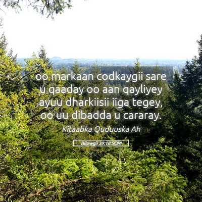 Picture 05 - Bilowgii 39:18 SOM - oo markaan codkaygii sare u qaaday oo aan - Bible Verse Picture