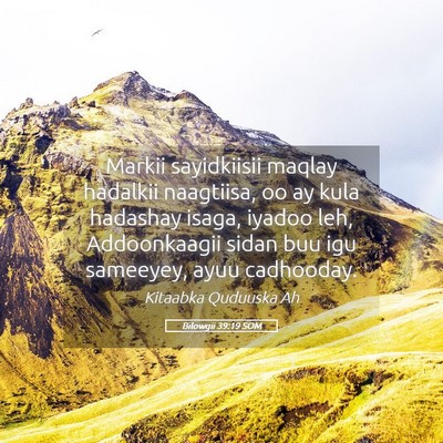 Picture 05 - Bilowgii 39:19 SOM - Markii sayidkiisii maqlay hadalkii naagtiisa, oo - Bible Verse Picture