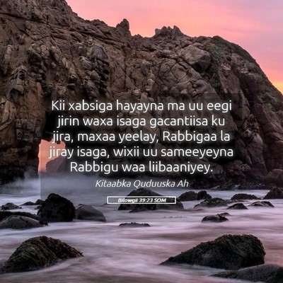 Picture 05 - Bilowgii 39:23 SOM - Kii xabsiga hayayna ma uu eegi jirin waxa isaga - Bible Verse Picture