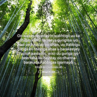 Picture 05 - Bilowgii 39:5 SOM - Oo waxay noqotay in wakhtigii uu ka dhigay kan u - Bible Verse Picture