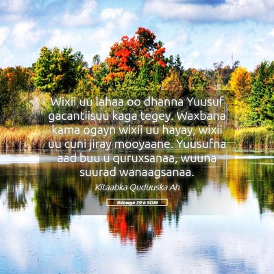 Picture 05 - Bilowgii 39:6 SOM - Wixii uu lahaa oo dhanna Yuusuf gacantiisuu kaga - Bible Verse Picture