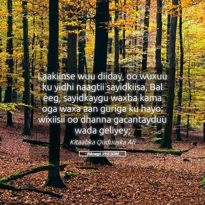 Picture 05 - Bilowgii 39:8 SOM - Laakiinse wuu diiday, oo wuxuu ku yidhi naagtii - Bible Verse Picture