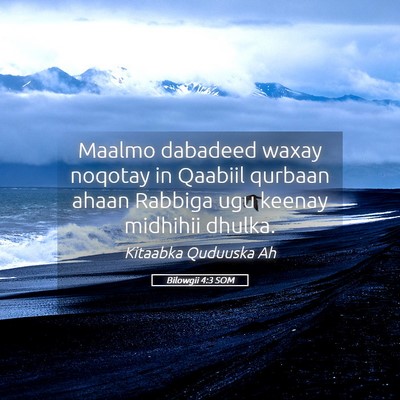 Picture 05 - Bilowgii 4:3 SOM - Maalmo dabadeed waxay noqotay in Qaabiil qurbaan - Bible Verse Picture