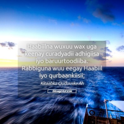 Picture 05 - Bilowgii 4:4 SOM - Haabiilna wuxuu wax uga keenay curadyadii - Bible Verse Picture