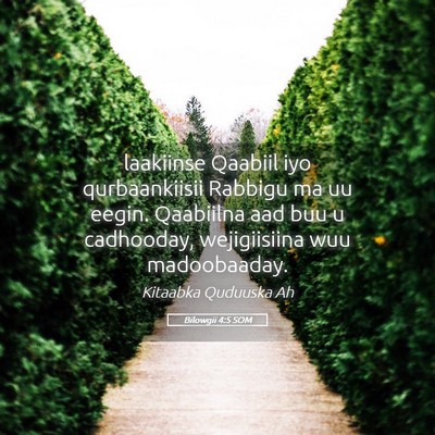 Picture 05 - Bilowgii 4:5 SOM - laakiinse Qaabiil iyo qurbaankiisii Rabbigu ma uu - Bible Verse Picture