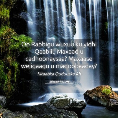 Picture 05 - Bilowgii 4:6 SOM - Oo Rabbigu wuxuu ku yidhi Qaabiil, Maxaad u - Bible Verse Picture