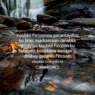 Picture 05 - Bilowgii 40:11 SOM - Koobkii Fircoonna gacantayduu ku jiray, - Bible Verse Picture