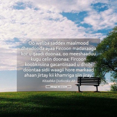 Picture 05 - Bilowgii 40:13 SOM - Oo weliba saddex maalmood dhexdooda ayaa Fircoon - Bible Verse Picture