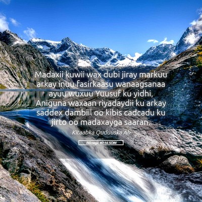 Picture 05 - Bilowgii 40:16 SOM - Madaxii kuwii wax dubi jiray markuu arkay inuu - Bible Verse Picture