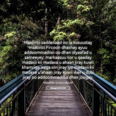 Picture 05 - Bilowgii 40:20 SOM - Maalintii saddexaad oo la xusuustay maalintii - Bible Verse Picture