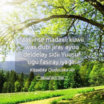 Picture 05 - Bilowgii 40:22 SOM - laakiinse madaxii kuwii wax dubi jiray ayuu - Bible Verse Picture