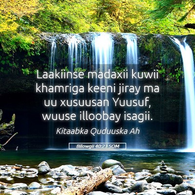 Picture 05 - Bilowgii 40:23 SOM - Laakiinse madaxii kuwii khamriga keeni jiray ma - Bible Verse Picture