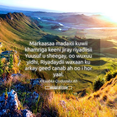Picture 05 - Bilowgii 40:9 SOM - Markaasaa madaxii kuwii khamriga keeni jiray - Bible Verse Picture