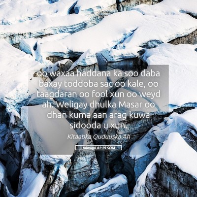 Picture 05 - Bilowgii 41:19 SOM - oo waxaa haddana ka soo daba baxay toddoba sac oo - Bible Verse Picture