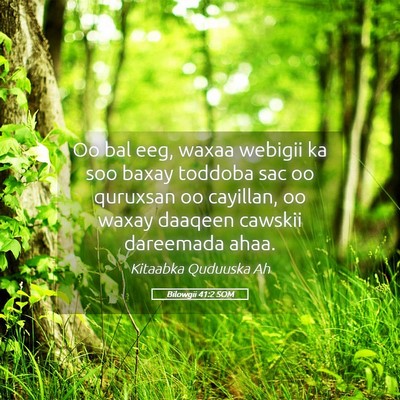 Picture 05 - Bilowgii 41:2 SOM - Oo bal eeg, waxaa webigii ka soo baxay toddoba - Bible Verse Picture